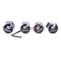 колпачки на ниппель Hamann,купить,колпачок на ниппель колеса Hamann,колпачки ниппель автомобиля Hamann,колпачки на ниппель с логотипом Hamann,колпачки на ниппель для авто,колпачки ниппель хромированные,металлический колпачок на ниппель