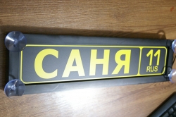 Табличка саня светящаяся,Светящаяся табличка в стиле госномера с цифрами региона,Именная светящаяся табличка,Табличка госномер на стекло,табличка номер на стекло,табличка с номером, табличка с именем,светящаяся табличка с именем,светящаяся табличка госн