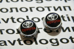 болты номерного знака с логотипом toyota,Декоративный болт для номерного знака с логотипом toyota,Болты для крепления госномера toyota,декоративных болтов на номерные знаки логотипом toyota,купить,заказать,доставка