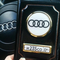 Обложка для автодокументов Audi (Ауди)