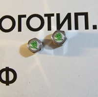 Колпачки на ниппель Skoda с ключом