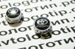 болты номерного знака с логотипом TOYOTA Camry,Декоративный болт для номерного знака с логотипом TOYOTA Camry,Болты для крепления госномера TOYOTA Camry,декоративных болтов на номерные знаки логотипом TOYOTA Camry,купить,заказать,доставка