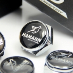болты номерного знака с логотипом HAMANN,Декоративный болт для номерного знака с логотипом HAMANN,Болты для крепления госномера HAMANN,декоративных болтов на номерные знаки логотипом HAMANN,купить,заказать,доставка
