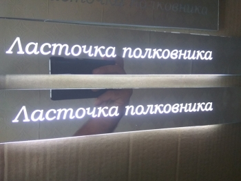 Зеркальные,накладки,на,пороги,ГАЗ,Волга,Ласточка,полковника,заказать,купить,доставка