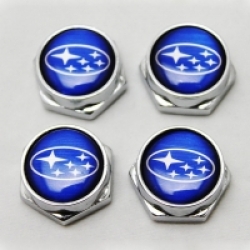 болты номерного знака с логотипом Subaru,Декоративный болт для номерного знака с логотипом Subaru,Болты для крепления госномера Subaru,декоративных болтов на номерные знаки логотипом Subaru купить,заказать,доставка