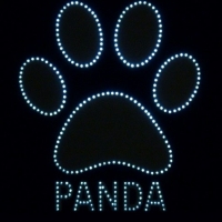 Светящийся логотип PANDA