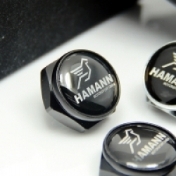 болты номерного знака с логотипом HAMANN,Декоративный болт для номерного знака с логотипом HAMANN,Болты для крепления госномера HAMANN,декоративных болтов на номерные знаки логотипом HAMANN,купить,заказать,доставка