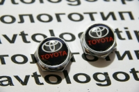 болты номерного знака с логотипом toyota,Декоративный болт для номерного знака с логотипом toyota,Болты для крепления госномера toyota,декоративных болтов на номерные знаки логотипом toyota,купить,заказать,доставка