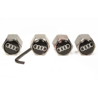 колпачки на ниппель Audi,купить,колпачок на ниппель колеса Audi,колпачки ниппель автомобиля Audi,колпачки на ниппель с логотипом Audi,колпачки на ниппель для авто,колпачки ниппель хромированные,металлический колпачок на ниппель