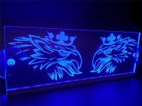 Светящийся логотип Scania 3D,светящийся логотип для грузовика Scania 3D,светящаяся эмблема Scania 3D,табличка Scania 3D,картина Scania 3D,логотип на стекло Scania 3D,светящаяся картина Scania 3D,светодиодный логотип Scania 3D,Truck Led Logo Scania 3D,12v,