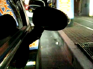 Side Mirror Turn Signal Glass Repeater LED Light 6